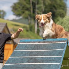 20190804 IMG 5682 FB