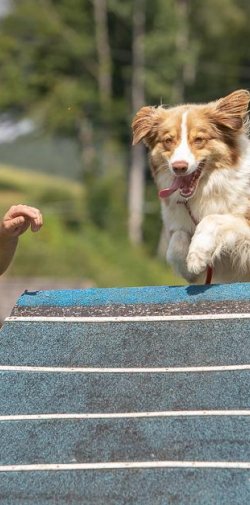 20190804 IMG 5682 FB