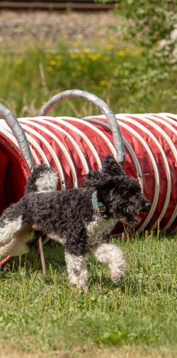 20190804 IMG 5750 FB