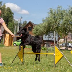 20190804 IMG 5765 FB