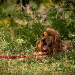 20190804 IMG 5767 FB