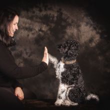 20200202 IMG 7845 Bearbeitet