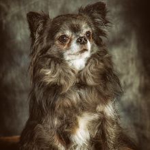 20200202 IMG 7874 Bearbeitet