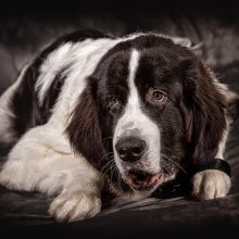 20200202 IMG 8264 Bearbeitet3