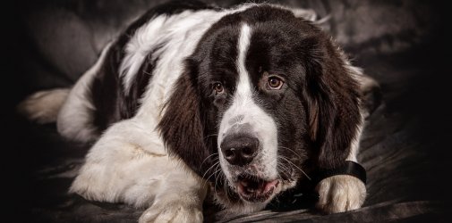 20200202 IMG 8264 Bearbeitet3