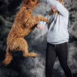 20200202 IMG 8311 Bearbeitet