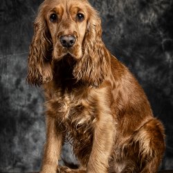 20200202 IMG 8354 Bearbeitet