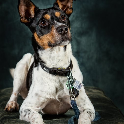 20200202 IMG 8438 Bearbeitet