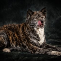 20200202 IMG 8538 Bearbeitet