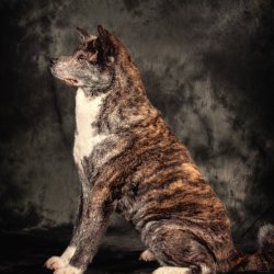 20200202 IMG 8543 Bearbeitet 2