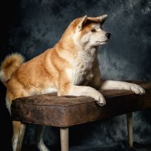 20200202 IMG 8560 Bearbeitet