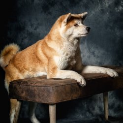 20200202 IMG 8560 Bearbeitet