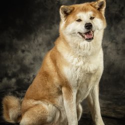 20200202 IMG 8569 Bearbeitet