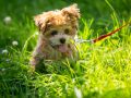 20200704 IMG 8766 FB