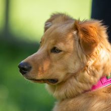 20200704 IMG 8773 FB