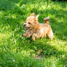 20200704 IMG 8793 FB