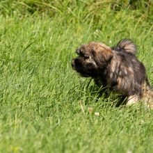 20200704 IMG 8802 FB