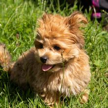 20200704 IMG 8822 FB