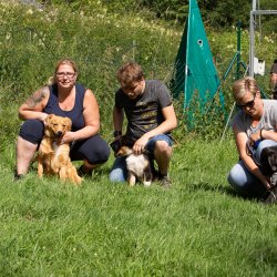 20200704 IMG 8824 FB