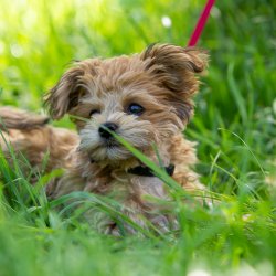 20200704 IMG 8833 FB