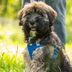 20200704 IMG 8839 FB