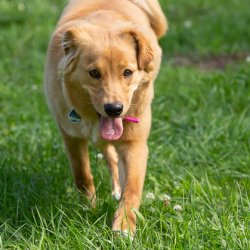 20200704 IMG 8844 FB