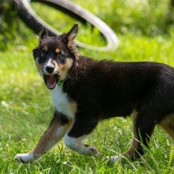 20200704 IMG 8856 FB