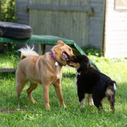 20200704 IMG 8864 FB