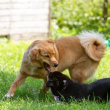 20200704 IMG 8866 FB