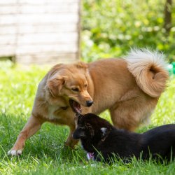 20200704 IMG 8866 FB