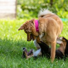 20200704 IMG 8869 FB