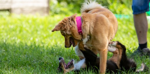 20200704 IMG 8869 FB