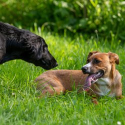 20200704 IMG 8887 FB