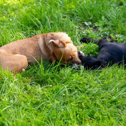 20200704 IMG 8895 FB