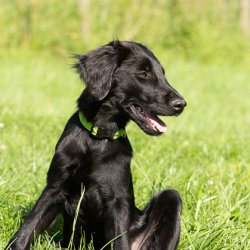 20200704 IMG 8898 FB