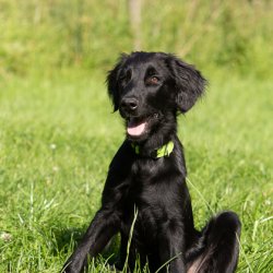 20200704 IMG 8899 FB