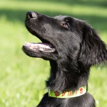 20200704 IMG 8904 FB