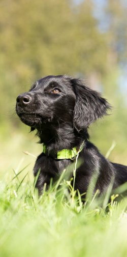 20200704 IMG 8911 FB