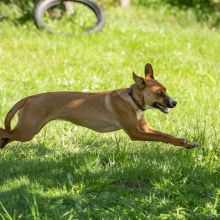 20200704 IMG 8920 FB