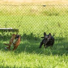 20200704 IMG 8927 FB