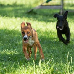 20200704 IMG 8932 FB