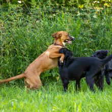 20200704 IMG 8940 FB