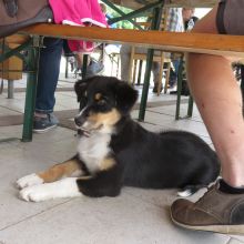 20200718 IMG 3700 FB