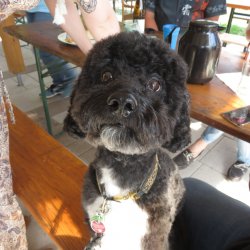 20200718 IMG 3767 FB