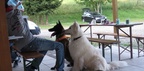 20200718 IMG 3782 FB