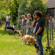 20200719 IMG 8997 FB