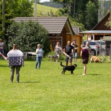 20200719 IMG 9000 FB