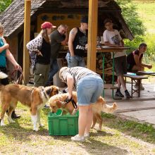 20200719 IMG 9037 FB