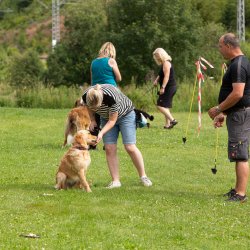 20200719 IMG 9046 FB