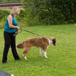 20200719 IMG 9077 FB